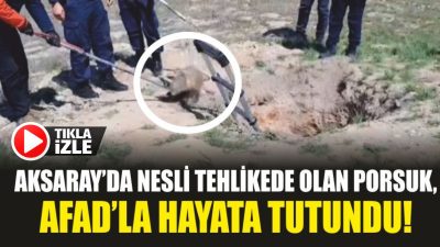 Aksaray’ın Ortaköy ilçesi sınırlarında yaşanan olay, doğa tutkunlarını hem duygulandırdı