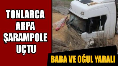 Aksaray’da meydana gelen trafik kazasında, Şanlıurfa’dan Bolu’ya arpa taşıyan bir