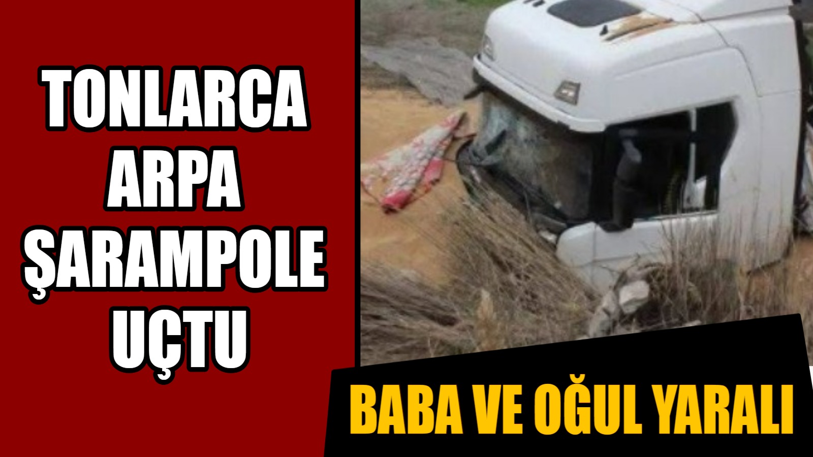 Tonlarca arpa şarampole uçtu, baba ve oğul yaralı!