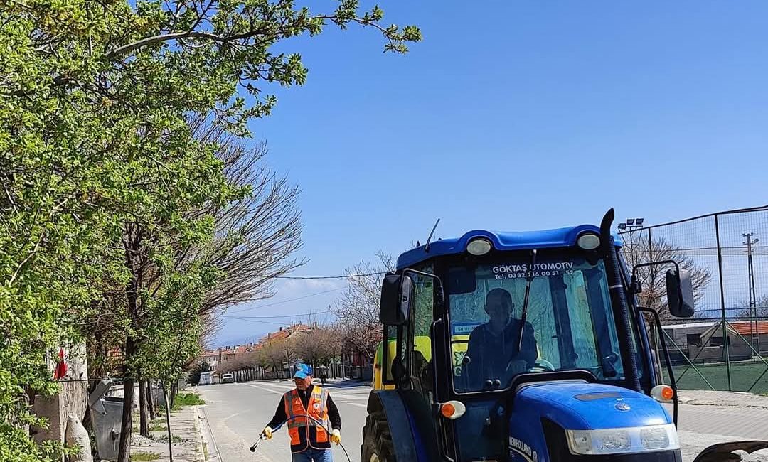 Ağaçören Belediyesi, baharın getirdiği