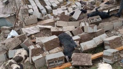 Kayseri’nin İncesu ilçesinde ahır ve üzerindeki evin çökmesi sonucu 35