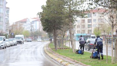 Aksaray Belediyesi, şehir genelinde yeşil alanları artırmak amacıyla başlattığı peyzaj