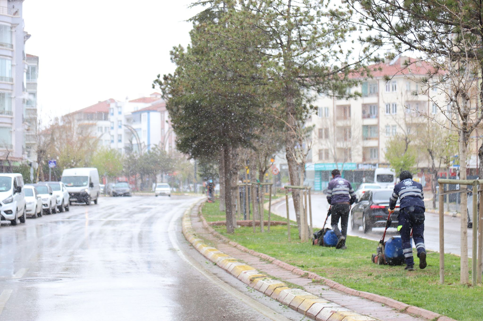 Aksaray Belediyesi, yeniden yeşil Aksaray için peyzaj çalışmalarını sürdürüyor
