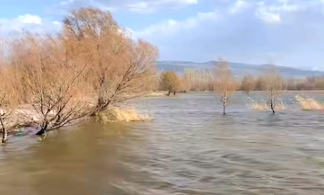 Aksaray’ın Gülağaç ilçesinde uzun