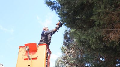 Aksaray Belediyesi, şehir genelindeki yeşil alanlara yönelik bakım çalışmalarını sürdürüyor.