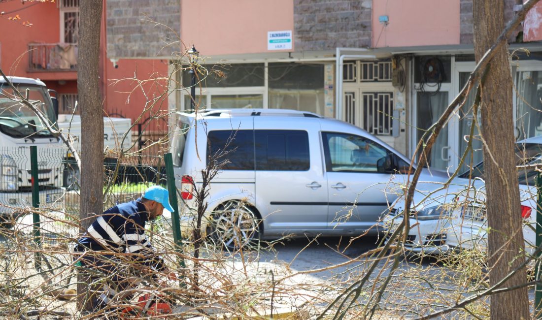 Aksaray Belediyesi, yaz aylarına hazırlık kapsamında park ve yeşil alanlarda