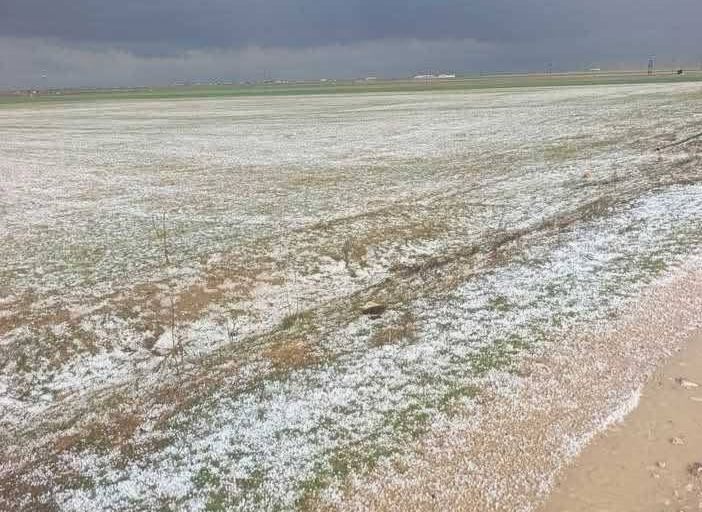 Aksaray’da dolu yağdı: Tarlalar beyaza büründü!