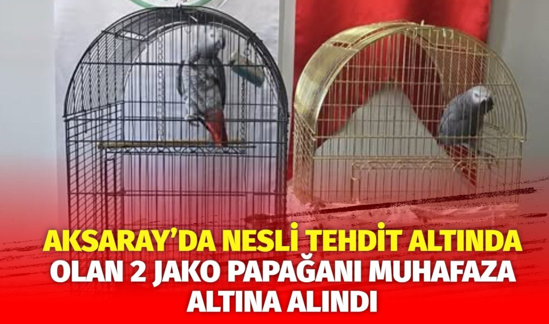 Aksaray Doğa Koruma ve