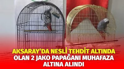 Aksaray Doğa Koruma ve Milli Parklar Şube Müdürlüğü, nesli tehdit