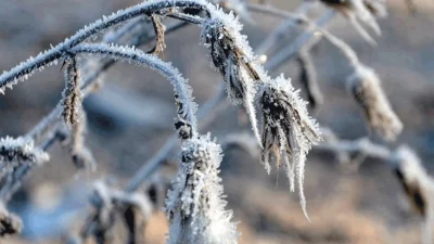 Aksaray İl Tarım ve Orman Müdürlüğü, son meteorolojik değerlendirmelere dayanarak