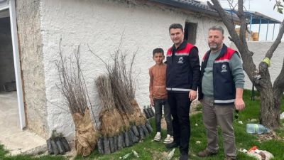Eskil Kaymakamlığı, İlçe Tarım ve Orman Müdürlüğü işbirliğiyle düzenlediği fidan