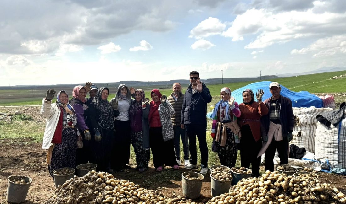 Güzelyurt Kaymakam Muammer Yetiş,