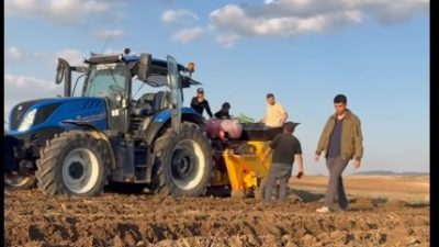 Güzelyurt ilçesinde patates ekim çalışmaları başladı. Güzelyurt Kaymakamı Muammer Yetiş,