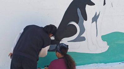 Aksaray Valiliği tarafından yapımı tamamlanan sahipsiz hayvan barınağının duvarları, resim