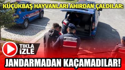 Aksaray’ın Gülağaç ilçesinde çalınan küçükbaş hayvanlar, jandarma ekiplerinin yaptığı titiz