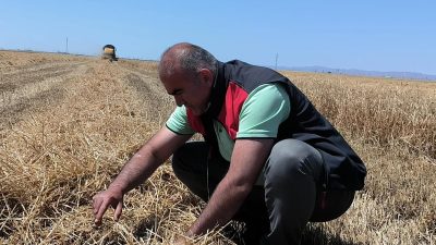 İl Tarım ve Orman Müdürlüğü, tüm işletmelerde şap aşılamasının yapılacağını