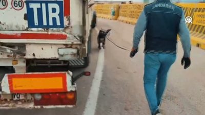 Kayseri'de aracında kaçak sigara taşıdığı tespit edilen bir sürücü yakalandı.