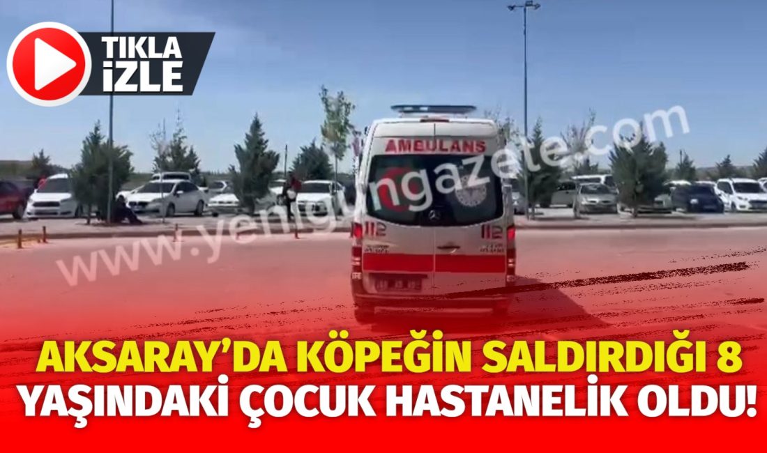 Aksaray’da sahipsiz bir köpeğin