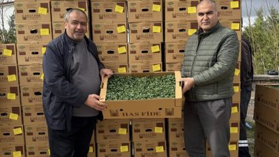 Aksaray Ziraat Odası Başkanı Emin Koçak, serada üretim yapan çiftçilere