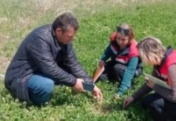 Aksaray’da etkili olan zirai