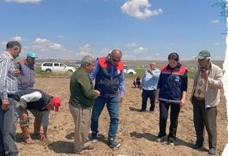 Aksaray genelinde etkili olan zirai don sonrası, İl Tarım ve