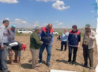 Zirai donun ardından hasar tespit çalışmaları aralıksız sürüyor