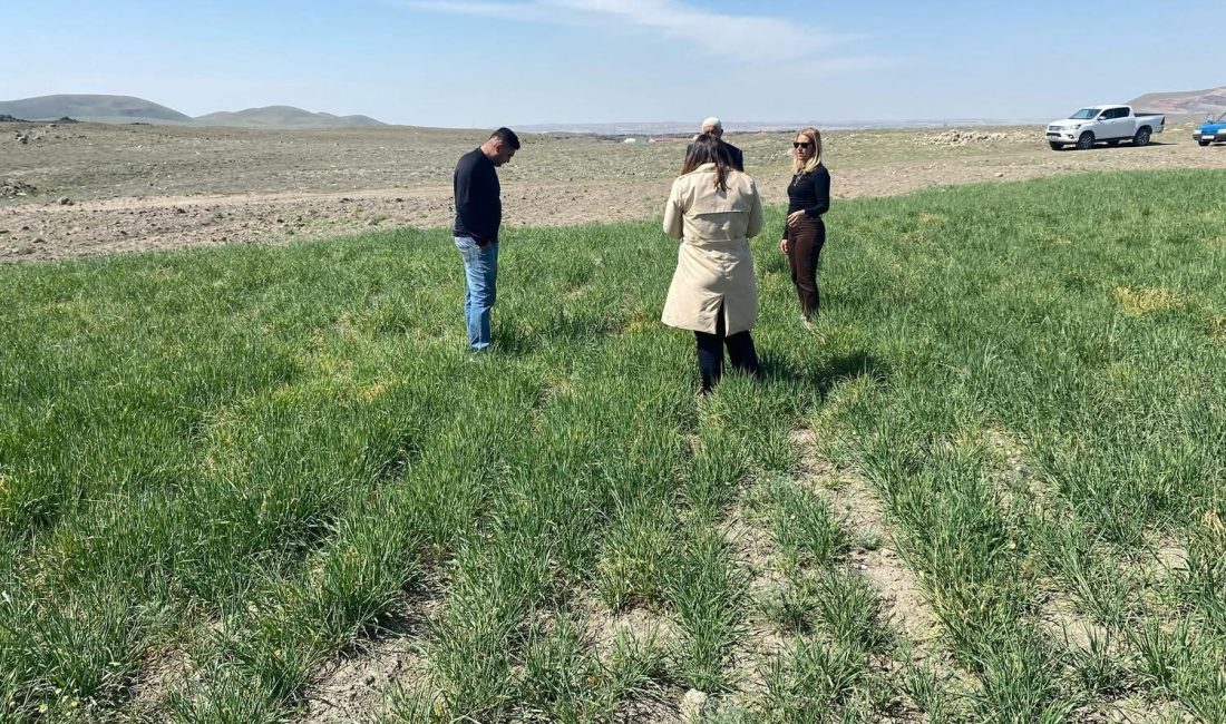 Aksaray’da etkili olan zirai