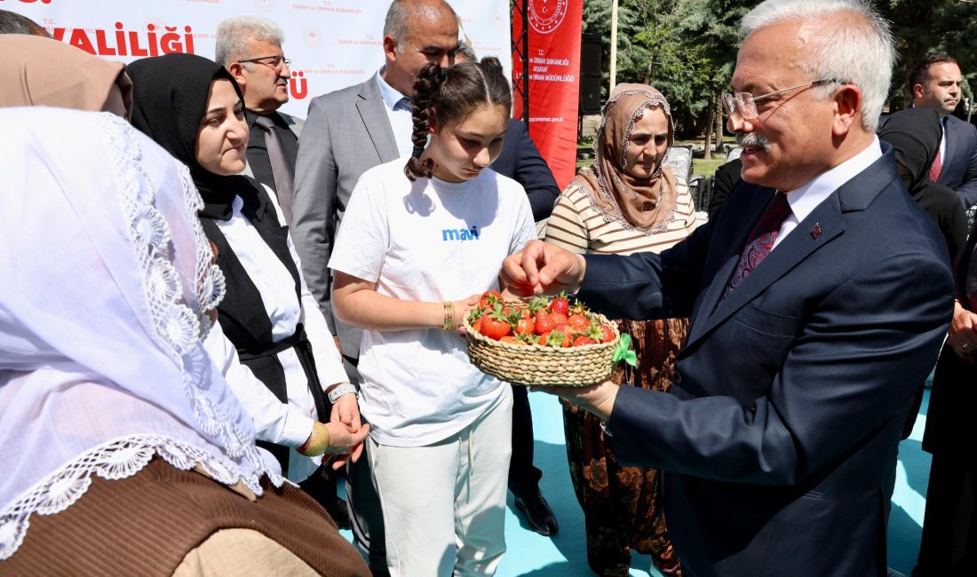 Aksaray İl Özel İdaresi ve Aksaray Tarım ve Orman İl