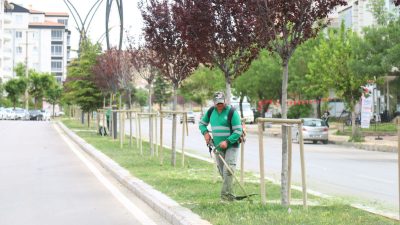 Aksaray Belediyesi, şehrin park, bahçe ve yeşil alanlarında düzenli çim