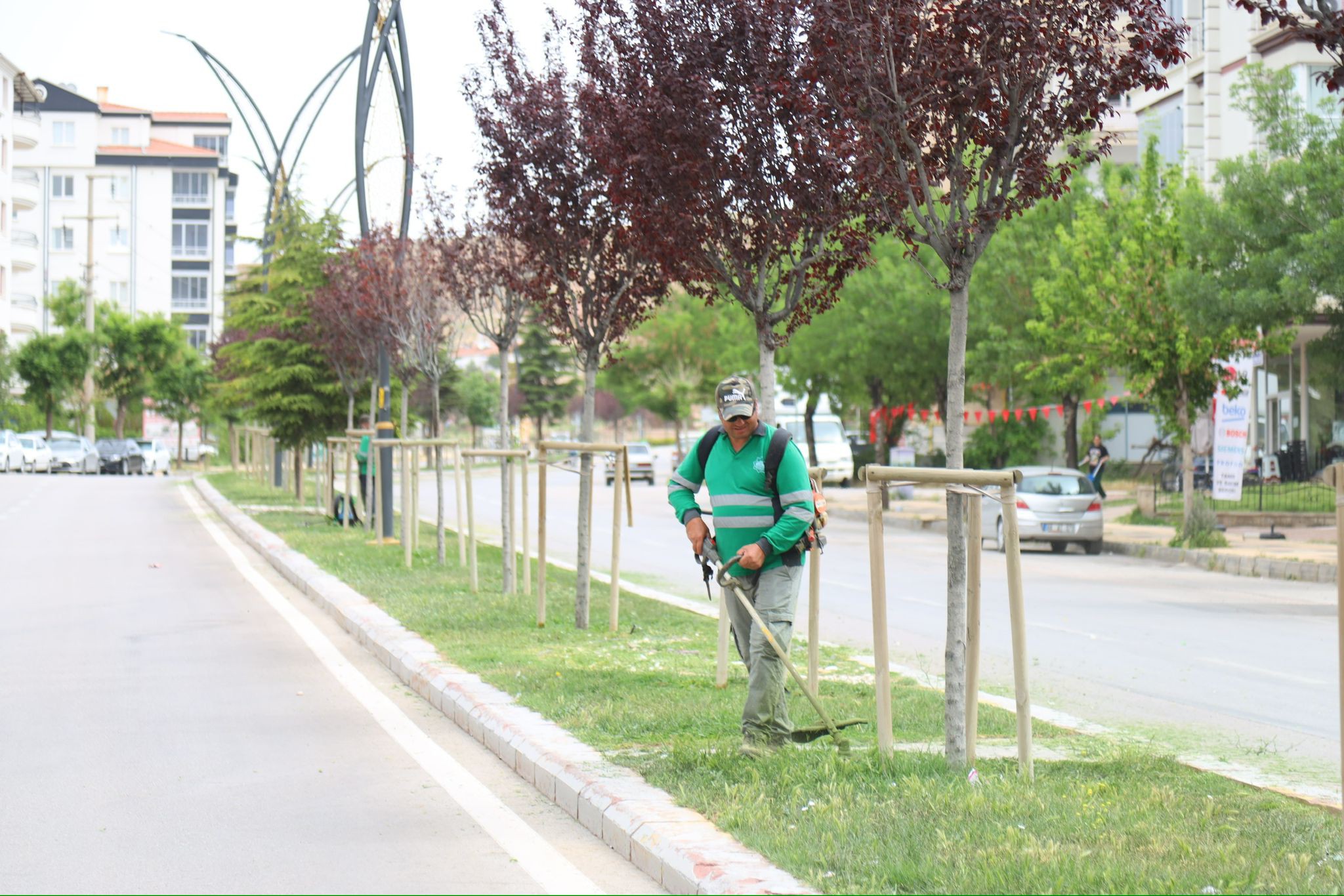Aksaray’da yeşil seferberliği: Şehir estetiğine bahar dokunuşu