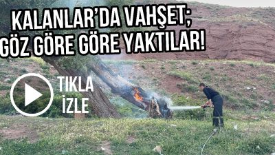 Aksaray’ın Kalanlar Mahallesi’nde kimliği belirsiz kişiler tarafından çıkarıldığı iddia edilen