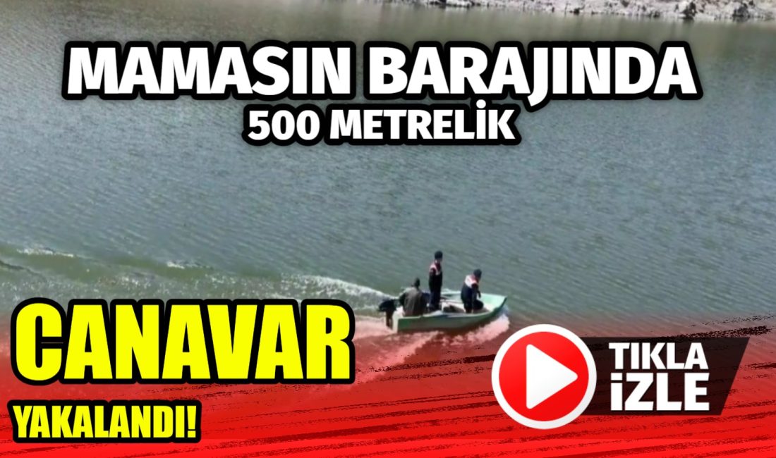 Aksaray İl Jandarma Komutanlığı, kaçak avcılığı önlemek için denetimlerini sürdürüyor.