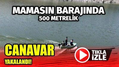 Aksaray İl Jandarma Komutanlığı, kaçak avcılığı önlemek için denetimlerini sürdürüyor.