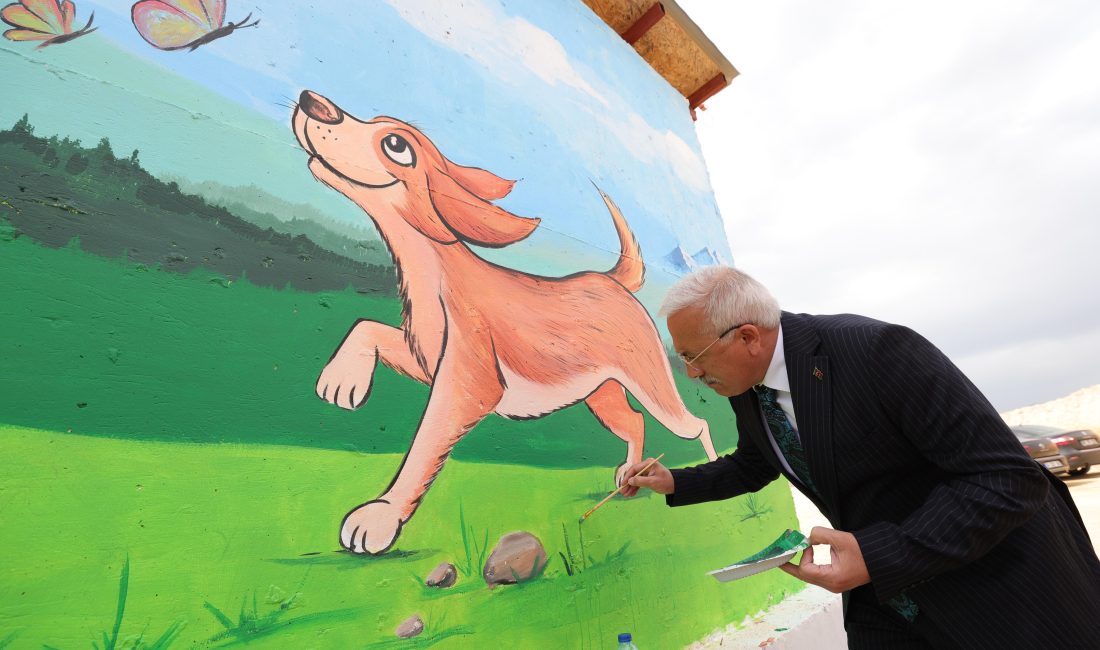 Aksaray Valiliği Sahipsiz Hayvanları Koruma Birliği tarafından inşa edilen Sahipsiz