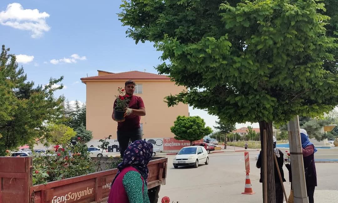 Ağaçören Belediyesi, çevre düzenleme