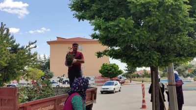 Ağaçören Belediyesi, çevre düzenleme faaliyetlerine hız kesmeden devam ediyor. İlçeyi