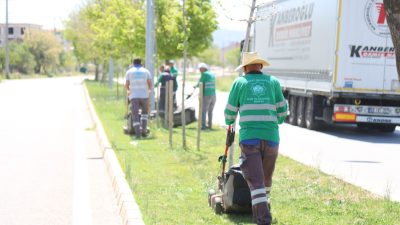 Aksaray Belediyesi, Çiftlik Mahallesi’nde bulunan refüjlerde çim biçme, peyzaj düzenleme