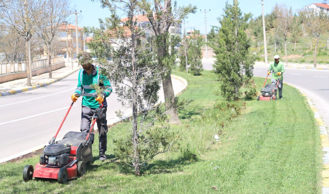 Aksaray Belediyesi, şehir genelinde yeşil alanların bakım ve düzenlenmesi için
