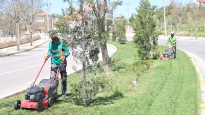 Aksaray Belediyesi, şehir genelinde yeşil alanların bakım ve düzenlenmesi için