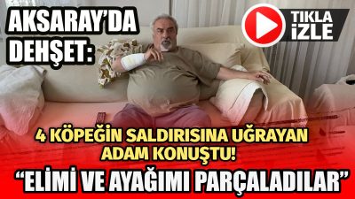 Aksaray’da doğa yürüyüşüne çıkan Cafer Bilinçli (64)adlı vatandaş, sokak köpeklerinin