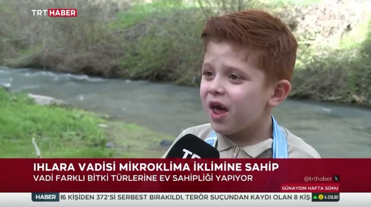 Validen tanıtım elçisi paylaşımı: Böyle rehber zor bulunur!