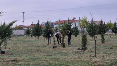 Eskil Belediyesi, çevreye duyarlı şehircilik anlayışı doğrultusunda park, cadde ve