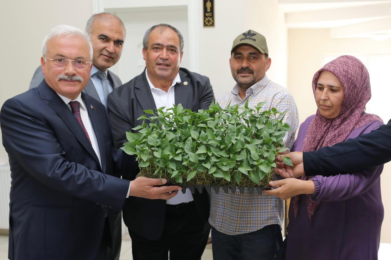 Tarladan sofraya vali fide satışlarını inceledi!