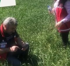 Aksaray Tarım ve Orman İl Müdürlüğü Bitkisel Üretim ve Bitki