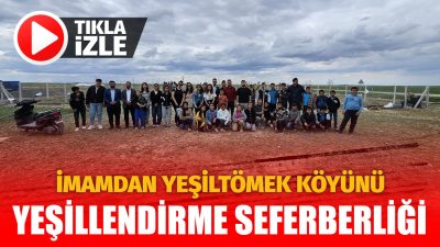İsmi Yeşil olan fakat Tuz gölü havzasında, Bozkırın ortasındaki ağaç