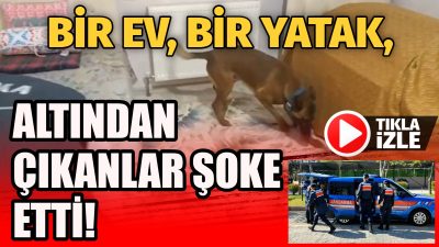 Aksaray’da jandarma ekiplerinin uyuşturucu ile mücadele kapsamında gerçekleştirdiği başarılı operasyonda,
