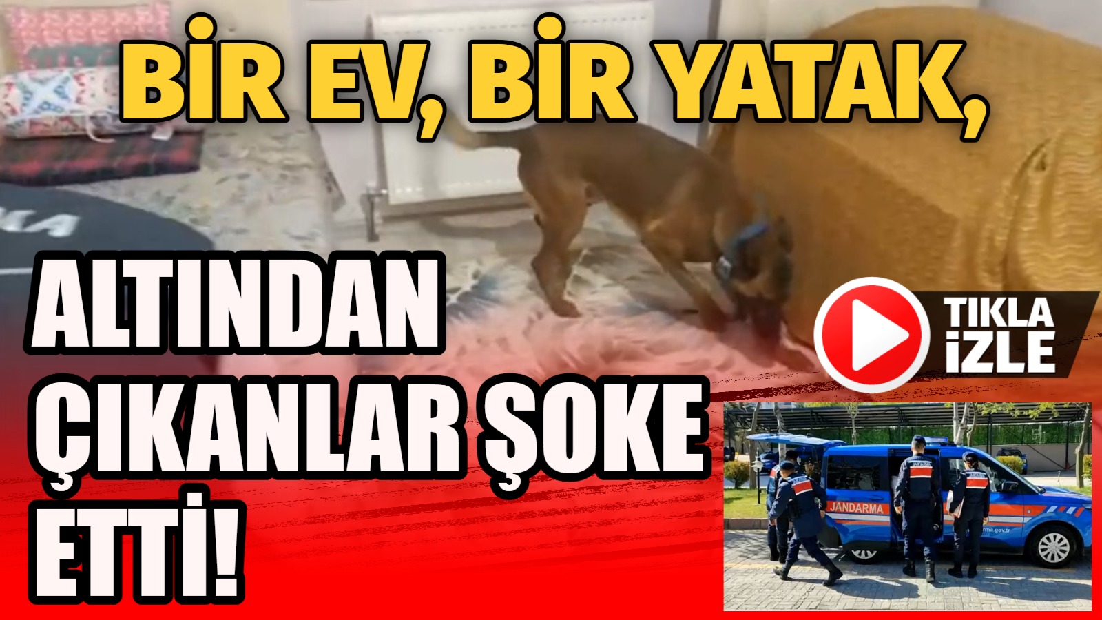 Bir ev, bir yatak, altından çıkanlar şoke etti!