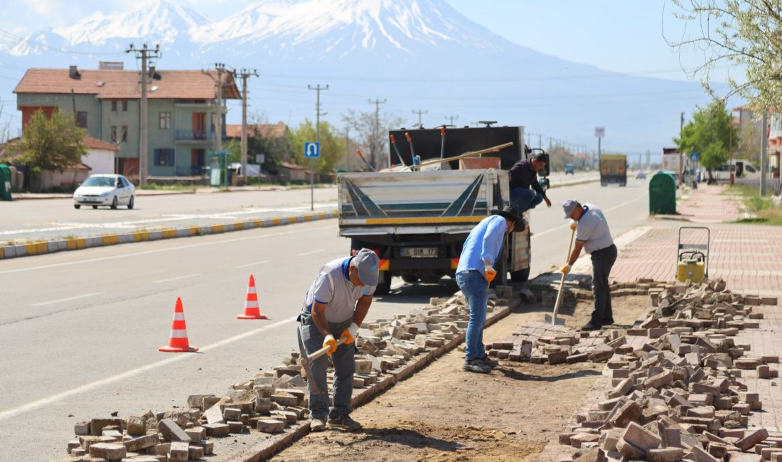 Aksaray Belediyesi, şehirdeki estetik