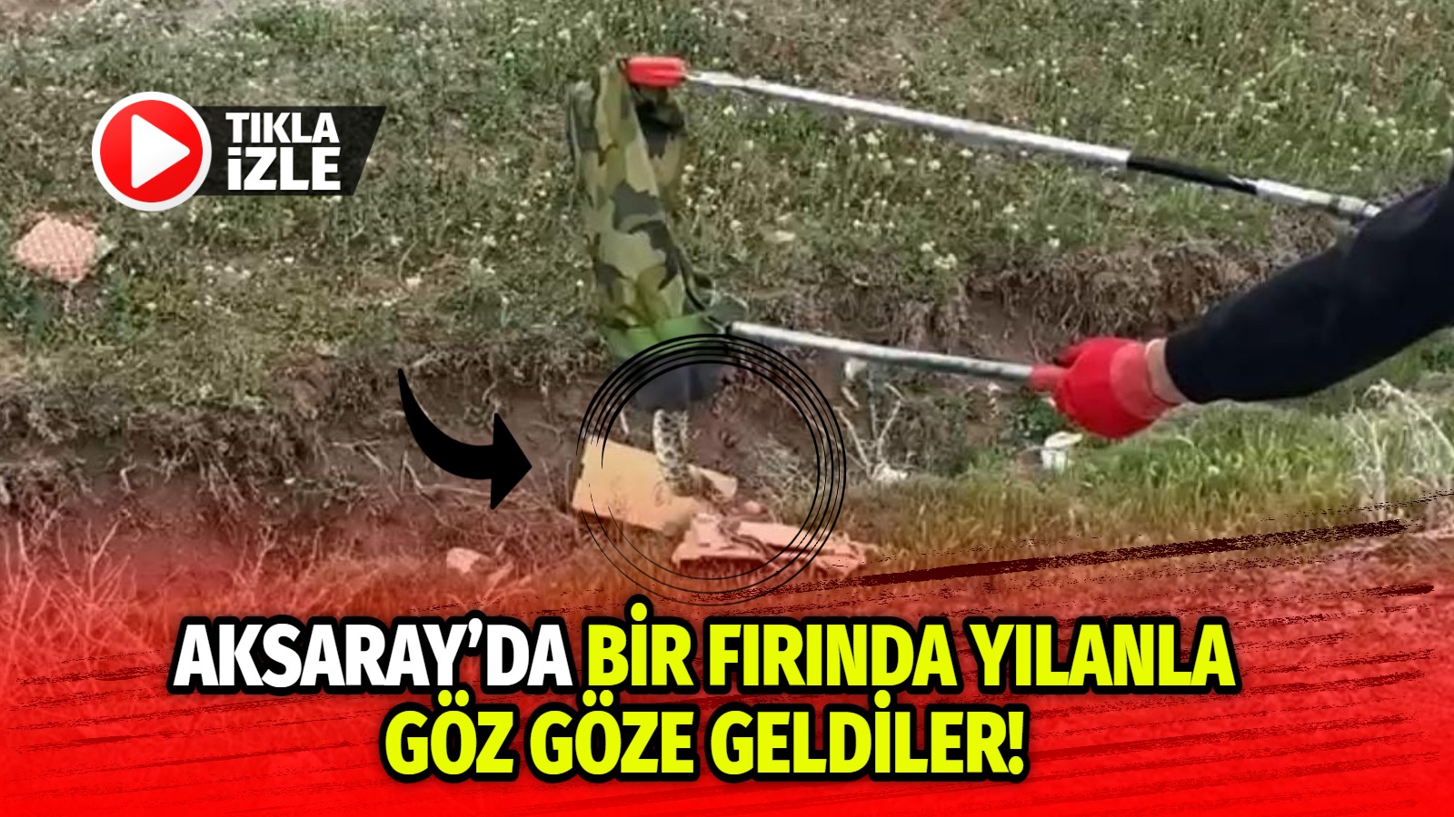 Aksaray’da bir fırında yılanla göz göze geldiler!