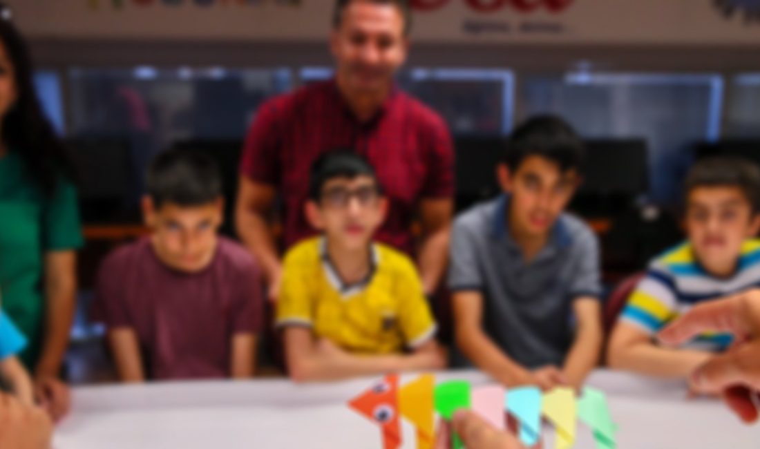 Millî Eğitim Bakanlığı, özel